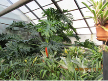 ���� 207.jpg