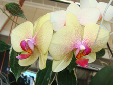 DSC03936.JPG