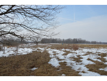 DSC_0080.JPG