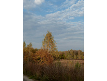 P1160993-001.JPG
