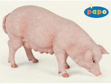 51135 ������ 200 � (������ ���� 272 �).jpg