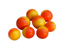 ����� �������� �����