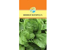 ������ ������� F1_11,00+%.jpg