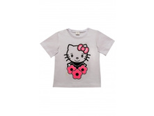 D1013/04   �����   ����: 100 ������