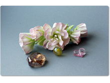 ������� "��������" - �������