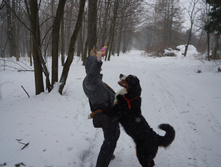 DSC02647.JPG