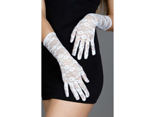 �������� ���������