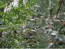 ���� 158.jpg