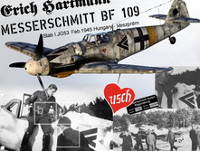Bf.109G Hartmann JG53.jpg