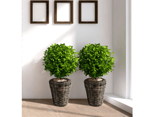 HC-0*04 ����������� ������