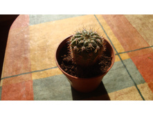 ������ ��������������� ������� (����2)