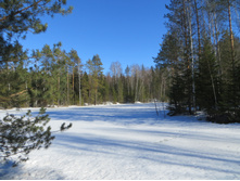IMG_3936.JPG