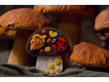 �������� ����