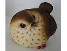 ������� �������.jpg