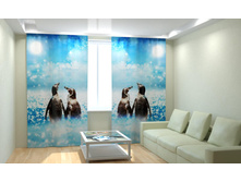 ����������� �������.jpg