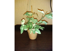 IMG_20150224_200737.jpg