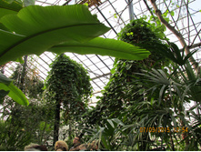 ���� 165.jpg