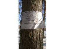 �������� 034.jpg