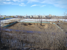 DSC08950.JPG