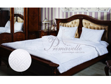 ������ Afina