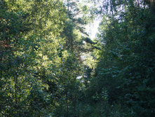DSC01258.JPG