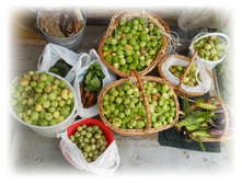 DSCN8982-2.jpg