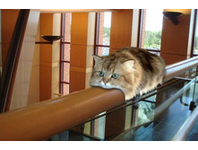 ������������� ���