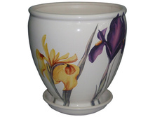 ������ ����� 3,0� ��� IRIS 008-0-063.jpg