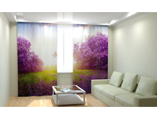 ��������� ��������� ���.jpg