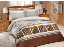 255-2-3 ���.JPEG