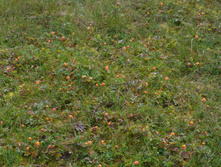 �������� 2014_312.jpg