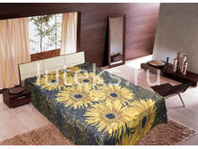 ��������� ���������� ���� (�������������) - � 013 �