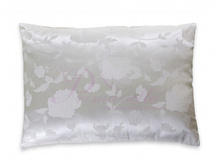 ������� Silk.jpg