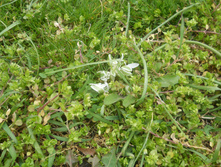 DSCN5537 - �����.JPG