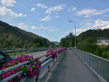 �������� 2014_101.jpg