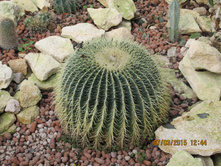 ���� 150.jpg