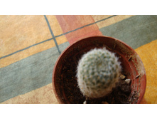 ����� ������� 1