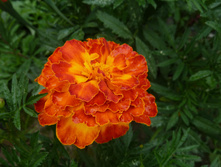 P1160001.JPG