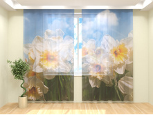 ����� ��������.jpg