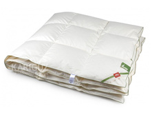 ������ ���.jpeg