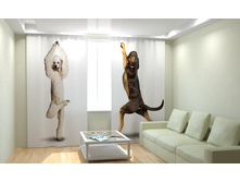 ��������� ������.jpg