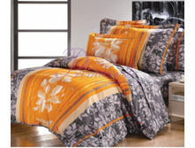 ������ ����� 3137 ���