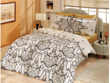 255-2-20 �����