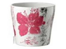 ����� Cilindro Ibiscus