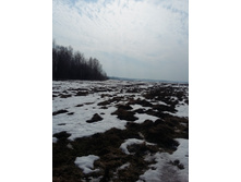 20150321_122832.jpg