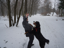 DSC02649.JPG