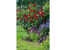 ������� (���),205���..jpg