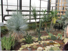 ��������� - � ��������� �� ���, ����� �������� "�������" ��������!!