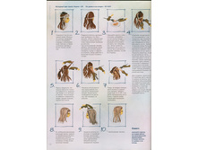 ������� �������.jpg