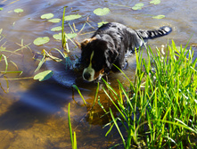 DSC01264.JPG